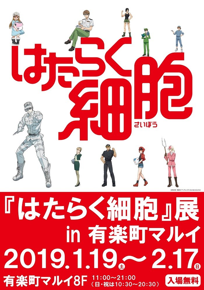 メインビジュアル.jpg