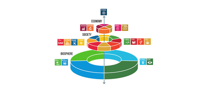 sdgs-food-azote-web_0122_4.jpg