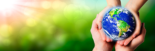 AdobeStock_328964742-500.jpg