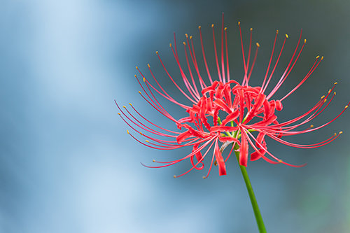 AdobeStock_319943127.jpeg