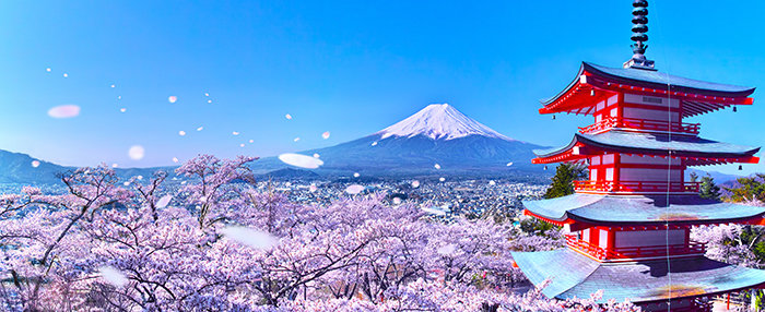 AdobeStock_297253361.jpeg