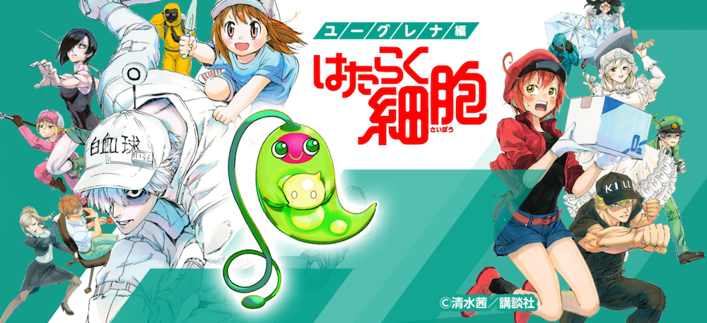 image-6.png