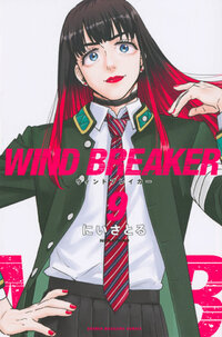 ＷＩＮＤ　ＢＲＥＡＫＥＲ