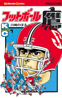 フットボール鷹