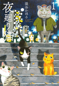 夜廻り猫