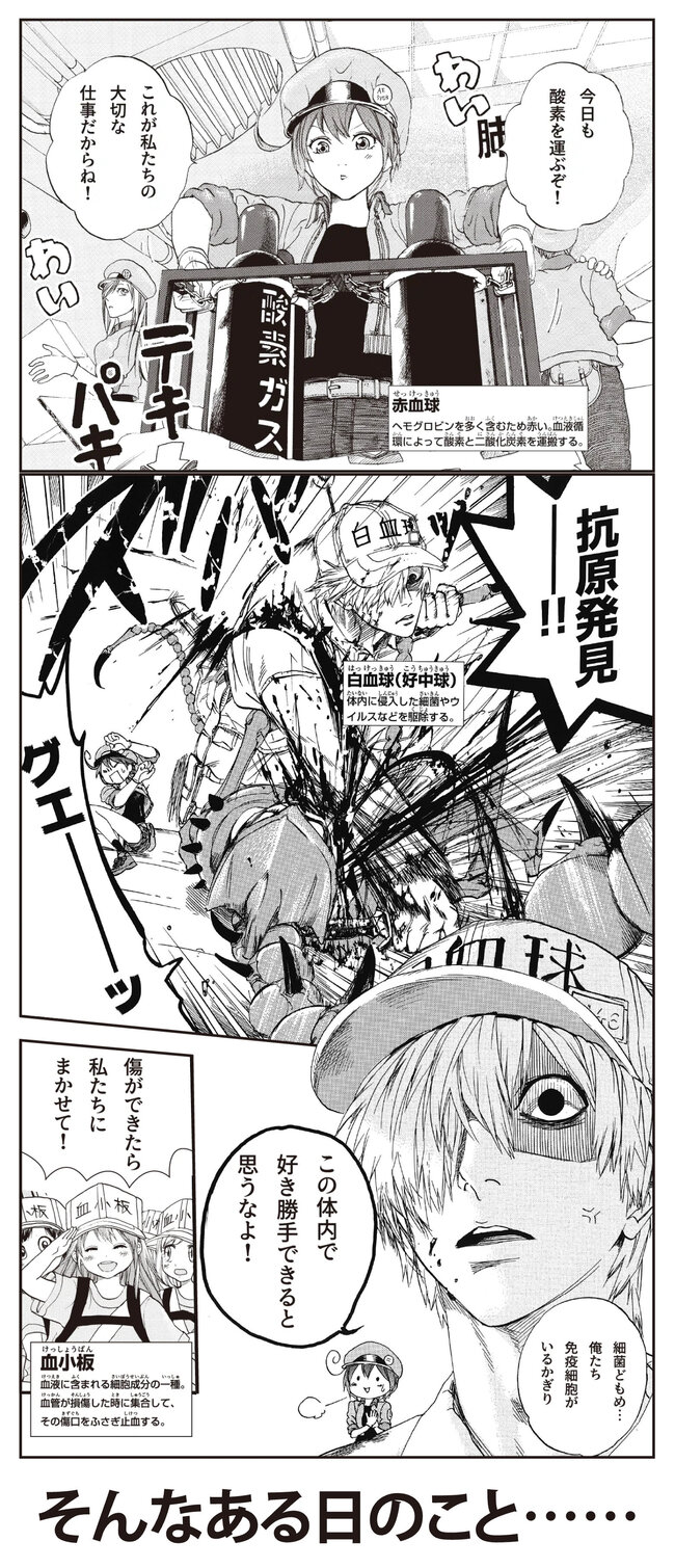 KIKKOMAN_hataraku_manga_02.jpg