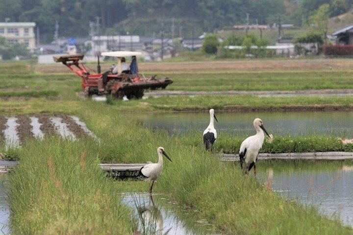 コウノトリを活かす地域づくり・兵庫県豊岡市｜SDGsと地域活性化【第3部 第3回】