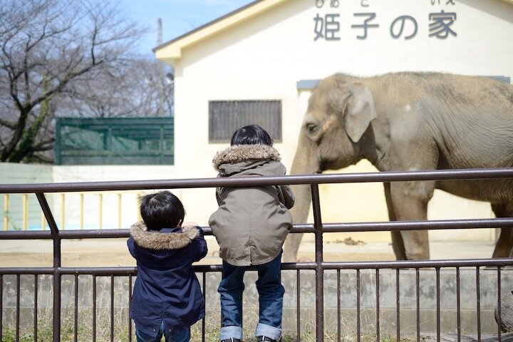 動物の福祉と権利の問題の根本にある、「種差別」と「人間中心主義」｜環境と福祉 問題解決のための「統合」とは【第8回】