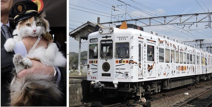 ネコの「たま駅長」と貴志川線