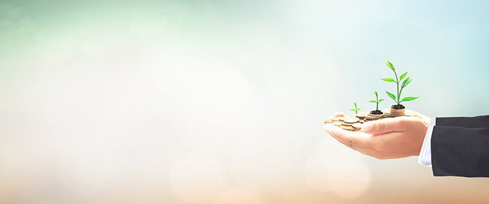AdobeStock_195085907.jpeg