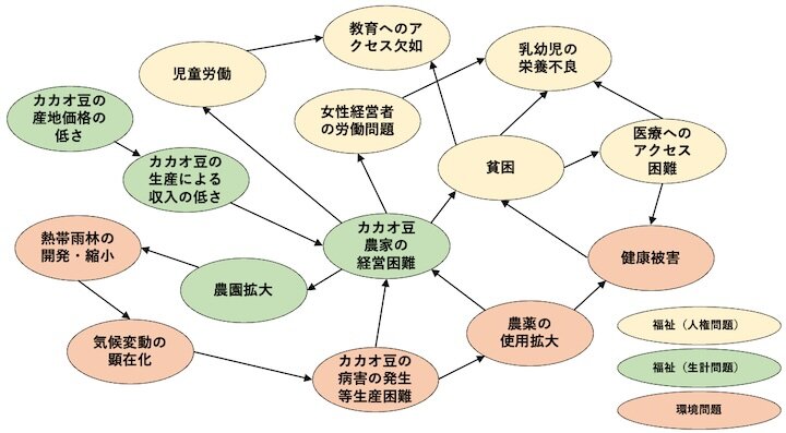 カカオ豆の生産地における環境問題と福祉問題