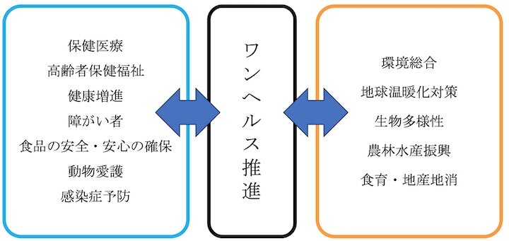 福岡県ワンヘルス推進計画におけるワンヘルス推進の位置づけ