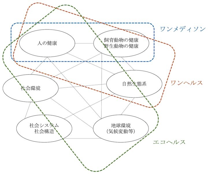 健康と環境の統合に関する考え方の対象範囲
