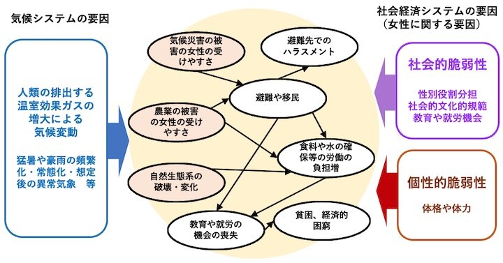 図１:女性の脆弱性による気候変動の影響の連鎖（開発途上国を想定）