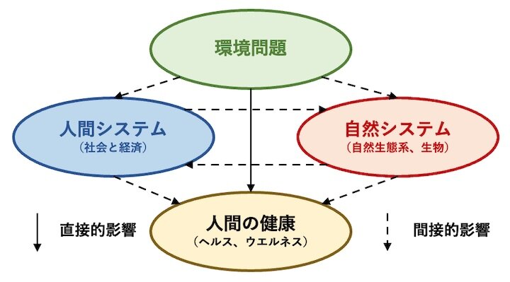 図2　環境問題が人間の健康に与える直接・間接の影響