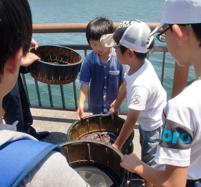 うなぎ財団画像.jpg