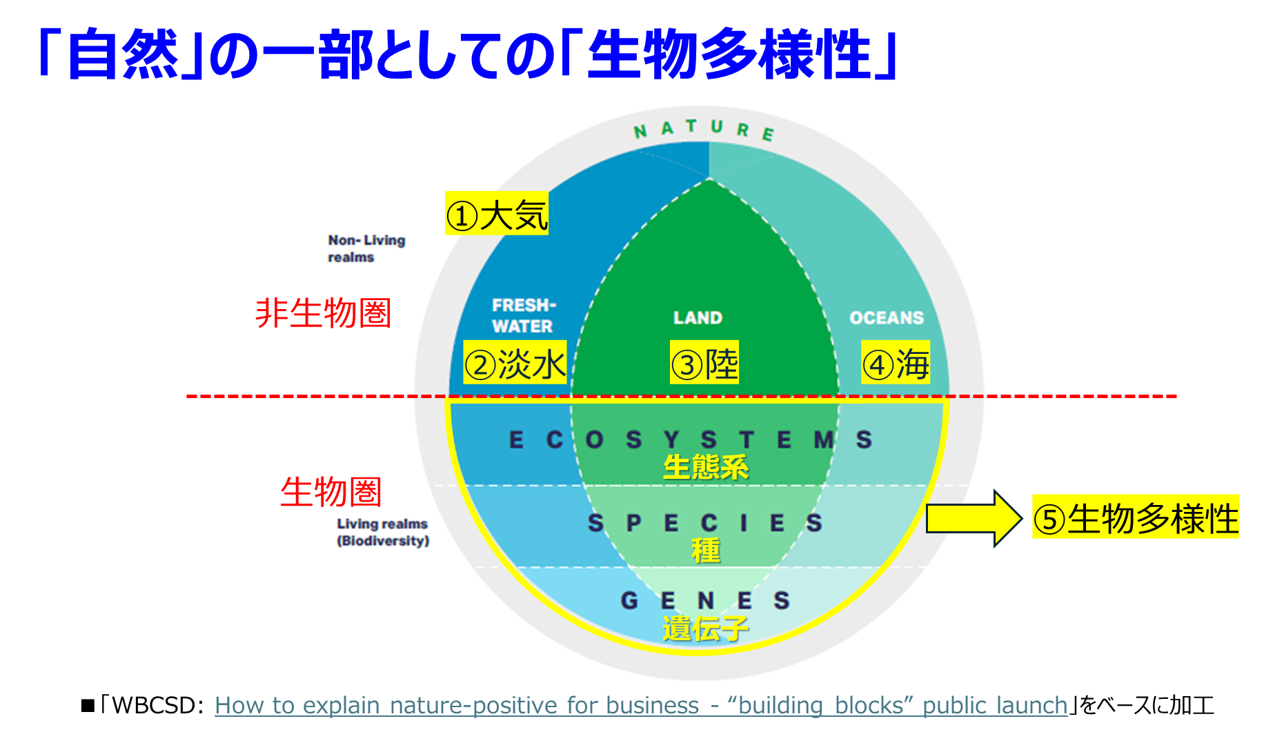 biodiversity_01.png